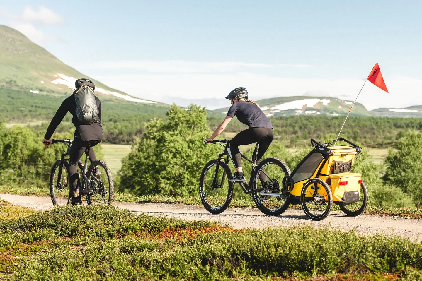 Thule Chariot Sport single Cykelvagn