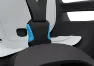 Thule RideAlong 2 RM Barnstol