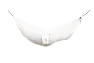 Vit