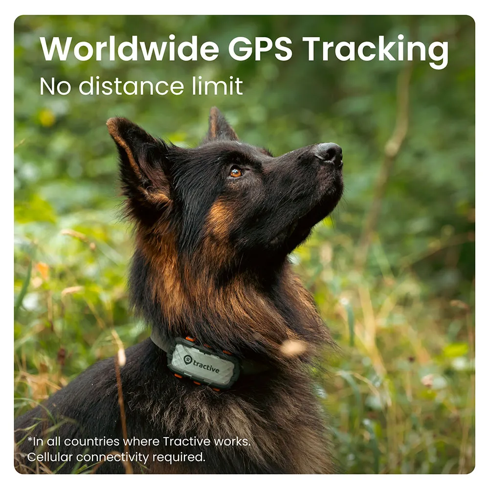 Tractive Adventure Dog Xl Gps-locator, Grey, One Size Tractive Adventure Dog Xl Gps-locator, Grey, One Size