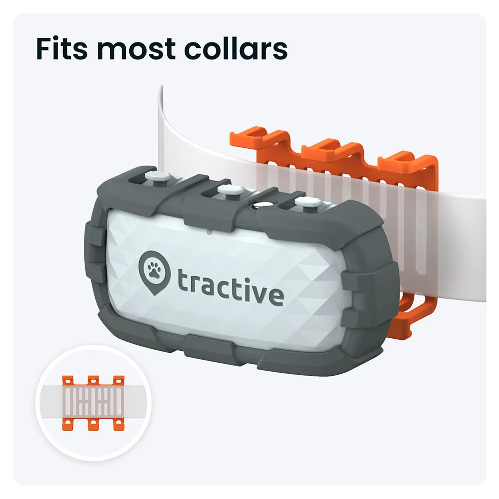 Tractive Adventure Dog Xl Gps-locator, Grey, One Size Tractive Adventure Dog Xl Gps-locator, Grey, One Size