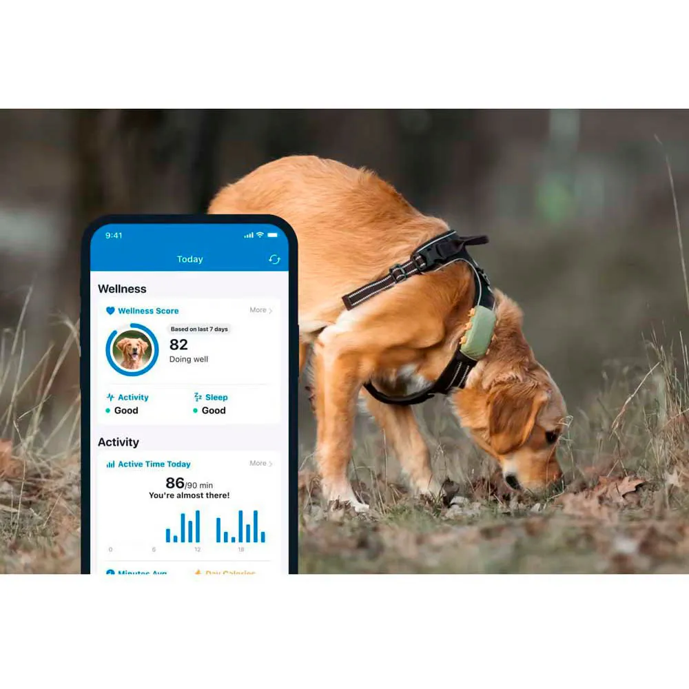 Tractive Dog Xl Gps-locator, Green, One Size