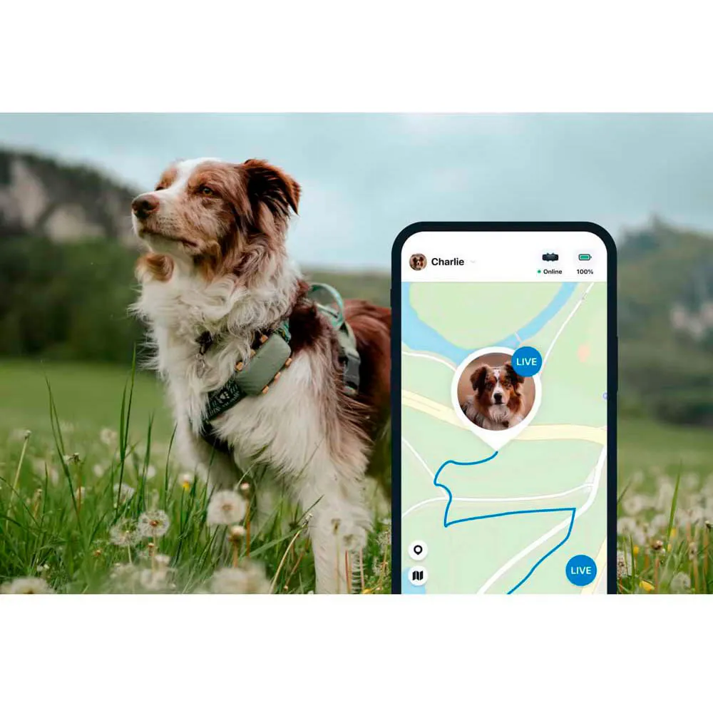 Tractive Dog Xl Gps-locator, Green, One Size