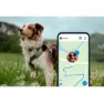 Tractive Dog Xl Gps-locator, Green, One Size