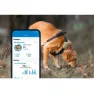 Tractive Dog Xl Gps-locator, Green, One Size
