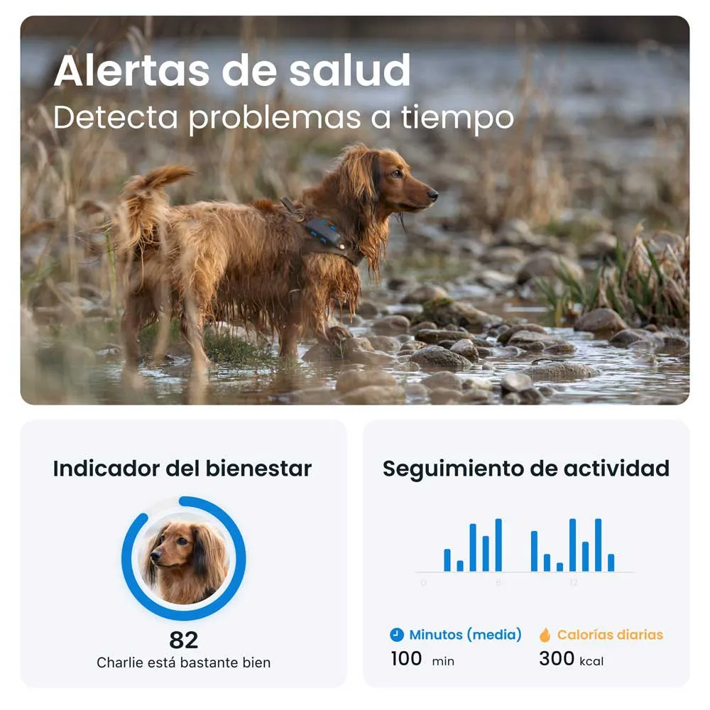Tractive Gps-locator Tractive Gps-locator