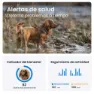 Tractive Gps-locator