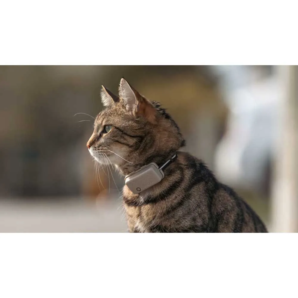 Tractive Mini Cat Activity Gps-locator