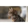 Tractive Mini Cat Activity Gps-locator