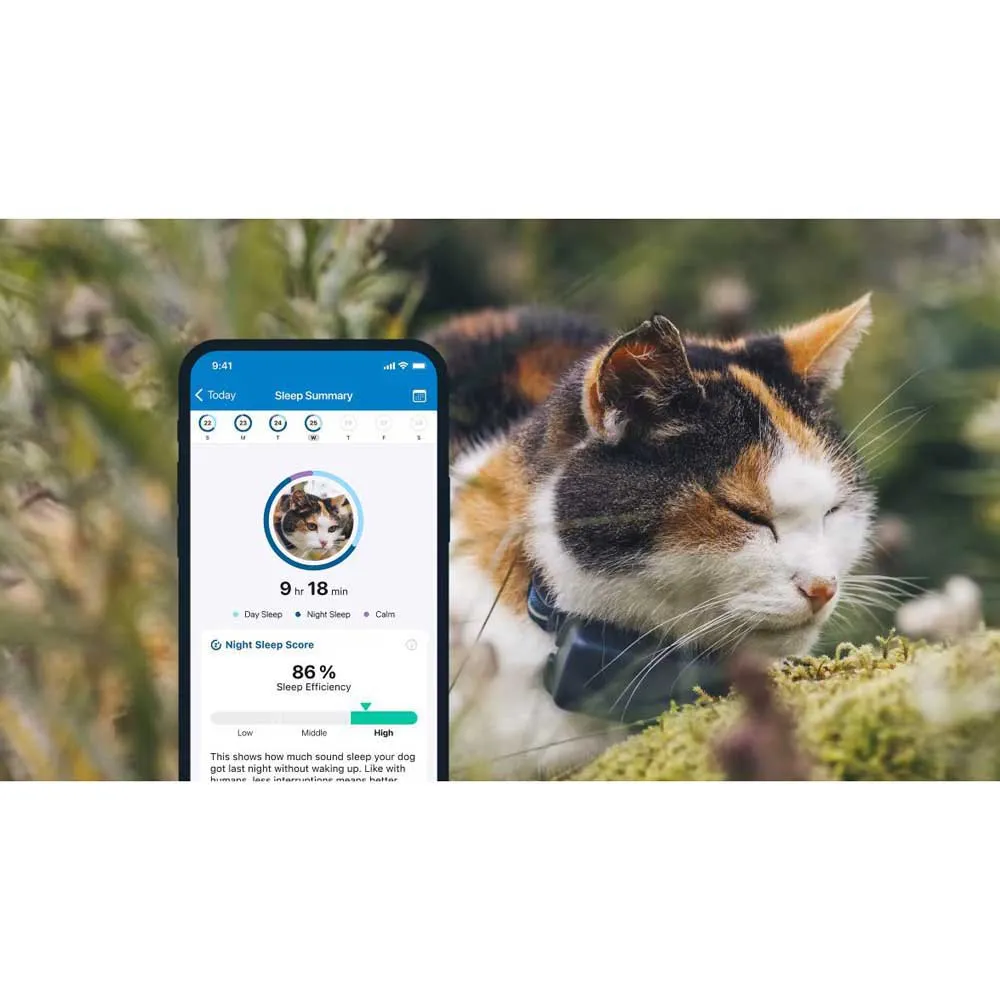 Tractive Mini Gps-locator, Blue, One Size