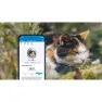 Tractive Mini Gps-locator, Blue, One Size