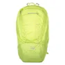 Lime 1