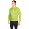 Lime green / green