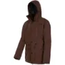 Coffee brown