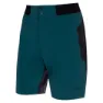 Trango Hornavan Shorts