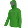 Macaw green