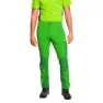 Green / dark green