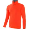 Persimmon orange