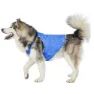 Trespass Alaska Cooling Hundjacka