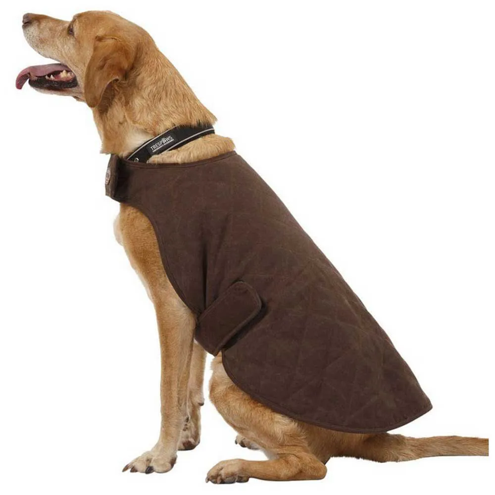 Trespass Artemis Hundjacka
