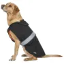 Trespass Butch X Softshell Hundjacka