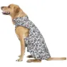 Trespass Charly Printed Rain Hundjacka