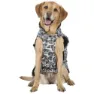 Trespass Charly Printed Rain Hundjacka