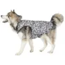 Trespass Charly Printed Rain Hundjacka