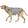 Trespass Charly Printed Rain Hundjacka