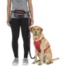 Trespass Chester Hundkoppel, Carbon, One Size