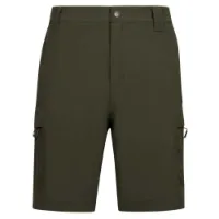 Trespass Dalham Shorts Trespass Dalham Shorts