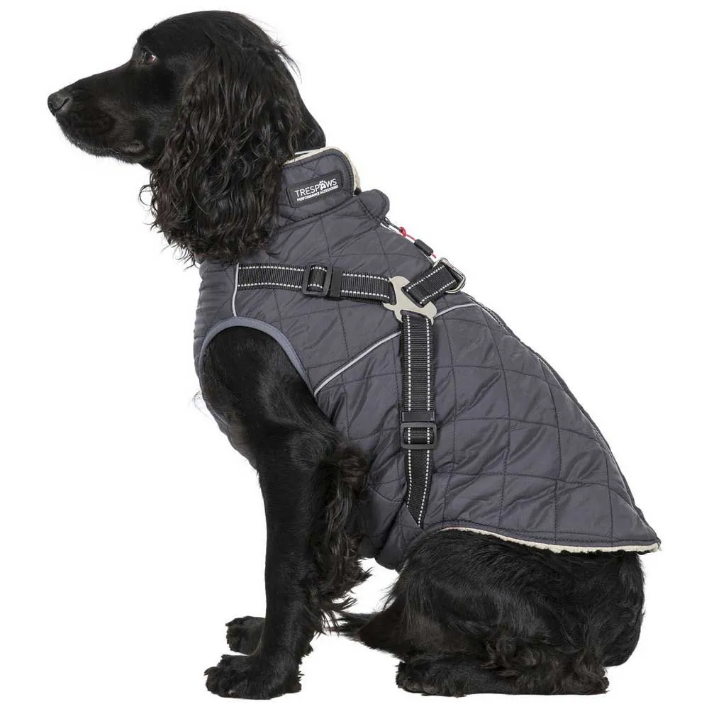Trespass Hercules 2 In 1 Hundjacka Trespass Hercules 2 In 1 Hundjacka