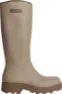 Shitake