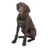 Trixie Activ Large Hundskor