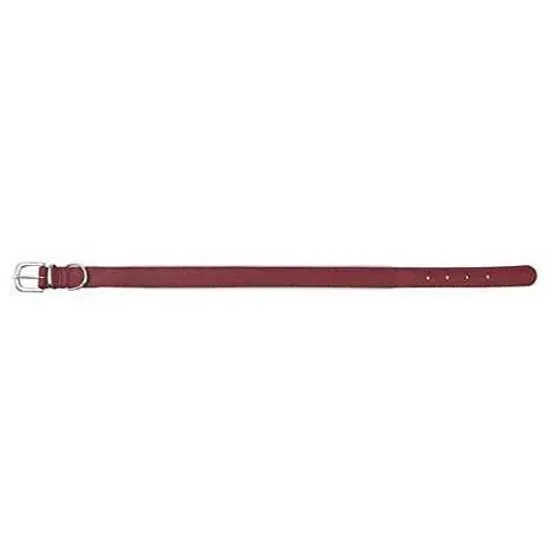 Trixie Active Reflect Hundkoppel, Red, 20mm x 100cm