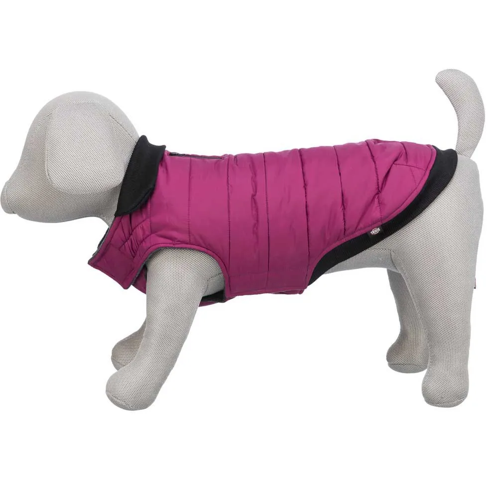 Trixie Arlay Hundjacka