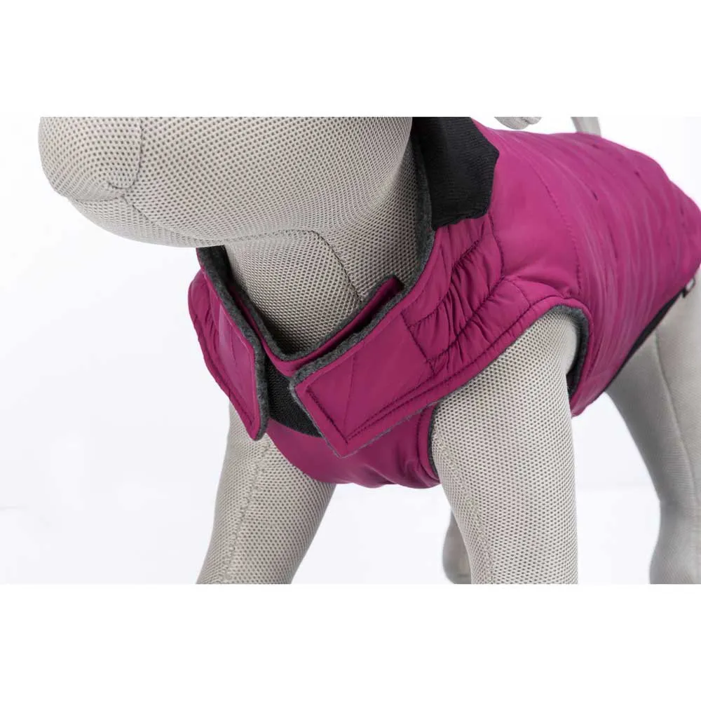 Trixie Arlay Hundjacka