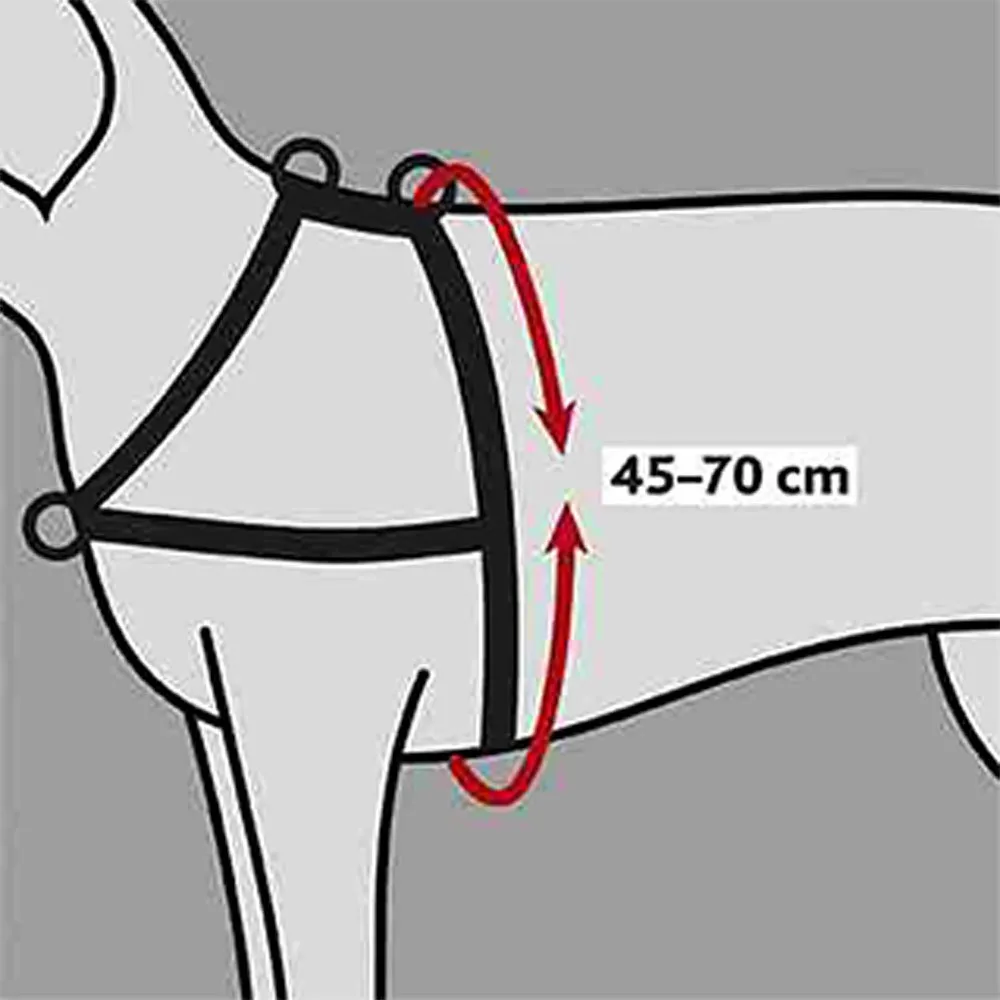 Trixie Lead N Walk Soft Hundsele, Black, L–XL