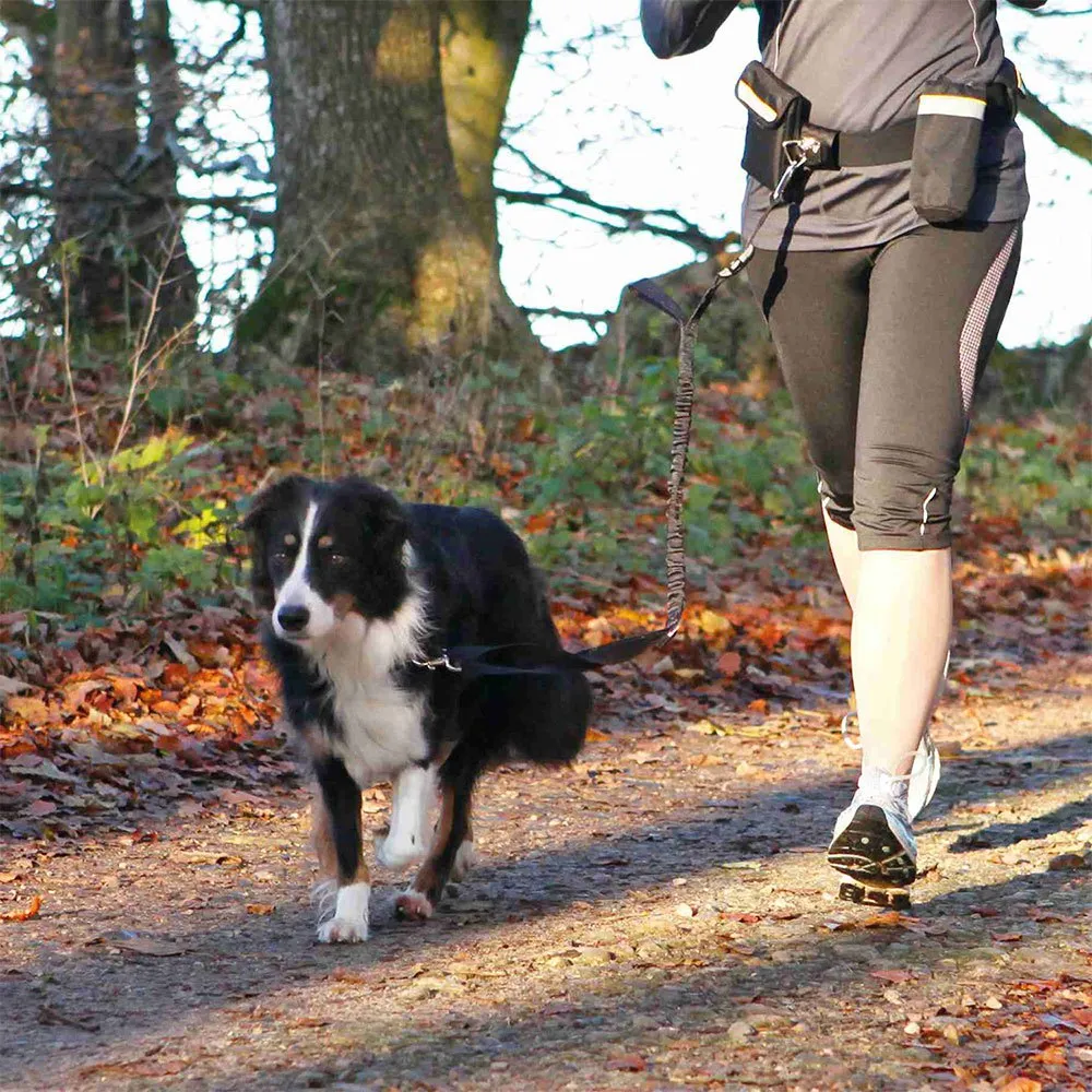 Trixie Midjebälte Med Koppel 60-120 Cm, Black, One Size