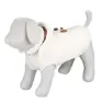 Trixie Siena Hundjacka, Beige, L