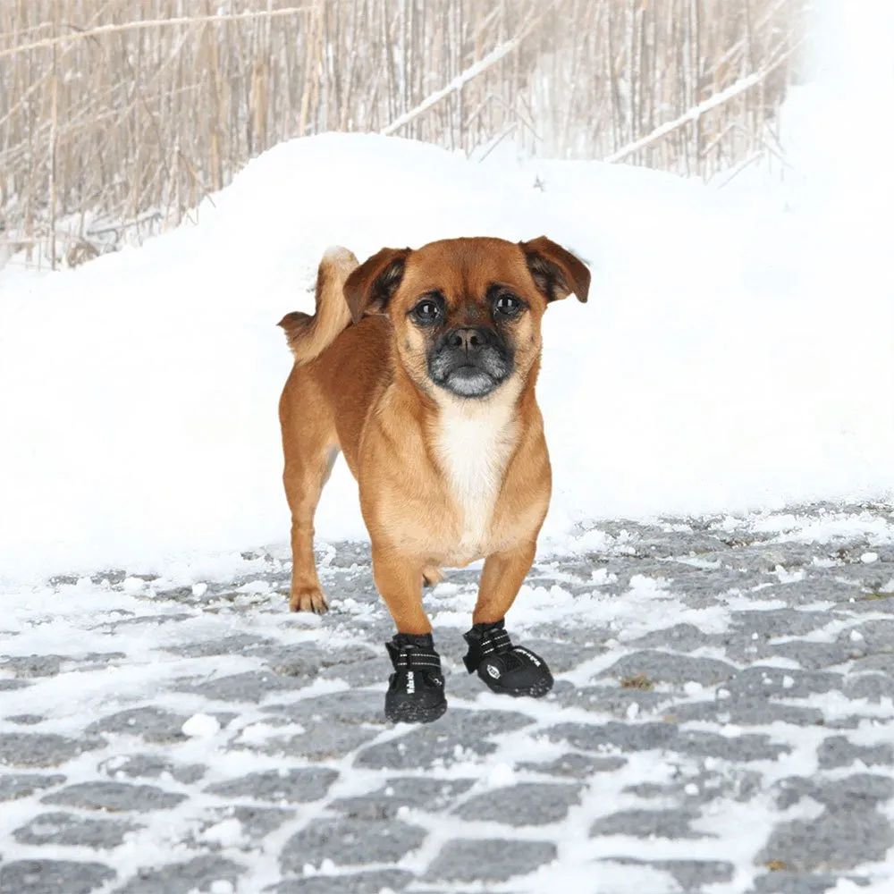 Trixie Walker Active Hundskor Trixie Walker Active Hundskor