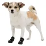 Trixie Walker Active Hundskor