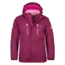 Plum / fireberry / mauve