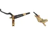Gold / black 1