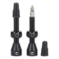 Tubolight Brass Mtb Tubeless Ventiler 2 Enheter Tubolight Brass Mtb Tubeless Ventiler 2 Enheter