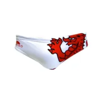 Turbo Wales Dragon Badbyxor male