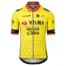 Tvl Team Visma Lease A Bike Replica Former Belgium Champion 2025 Korta ärmar Cykeltröja