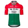 Tvl Team Visma Lease A Bike Replica Hungarian Champion 2025 Korta ärmar Cykeltröja, Multicolor