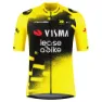 Tvl Team Visma Lease A Bike Replica Wingbeat Korta ärmar Cykeltröja