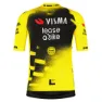 Tvl Team Visma Lease A Bike Replica Wingbeat Korta ärmar Cykeltröja